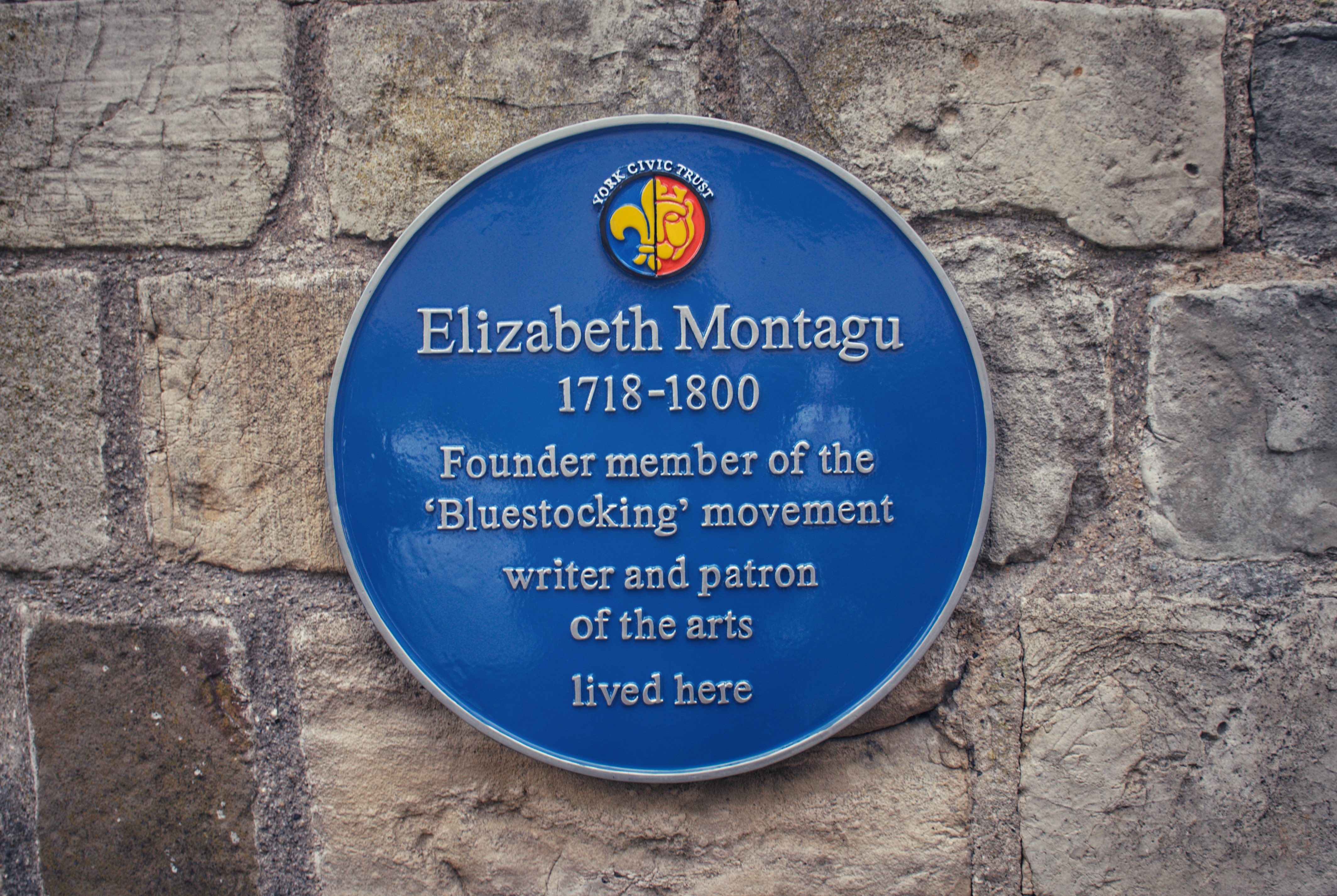 Queen of the Blues: Elizabeth Montagu's Bluestockings