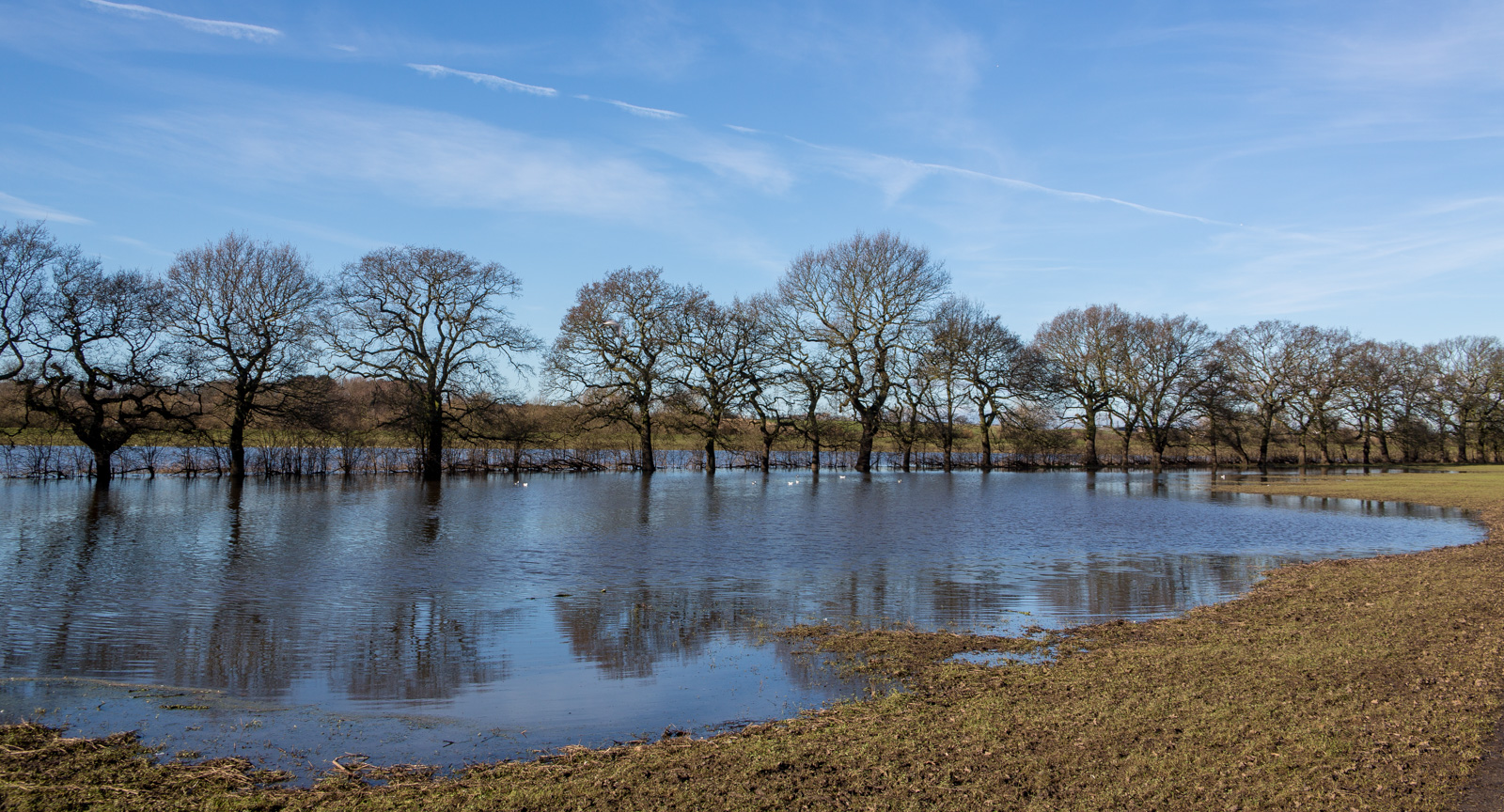 York’s ings – a national treasure hiding in plain sight